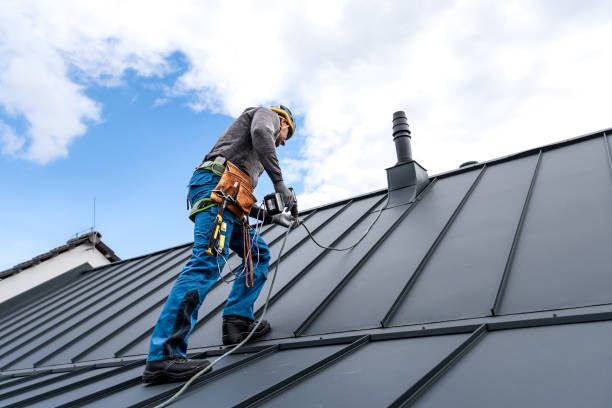 Best Roof Moss and Algae Removal  in Fayetteville, AL