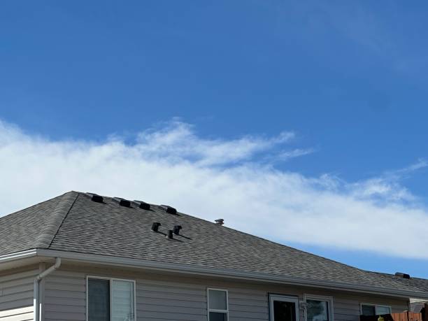 Best Gutter Installation and Repair  in Fayetteville, AL